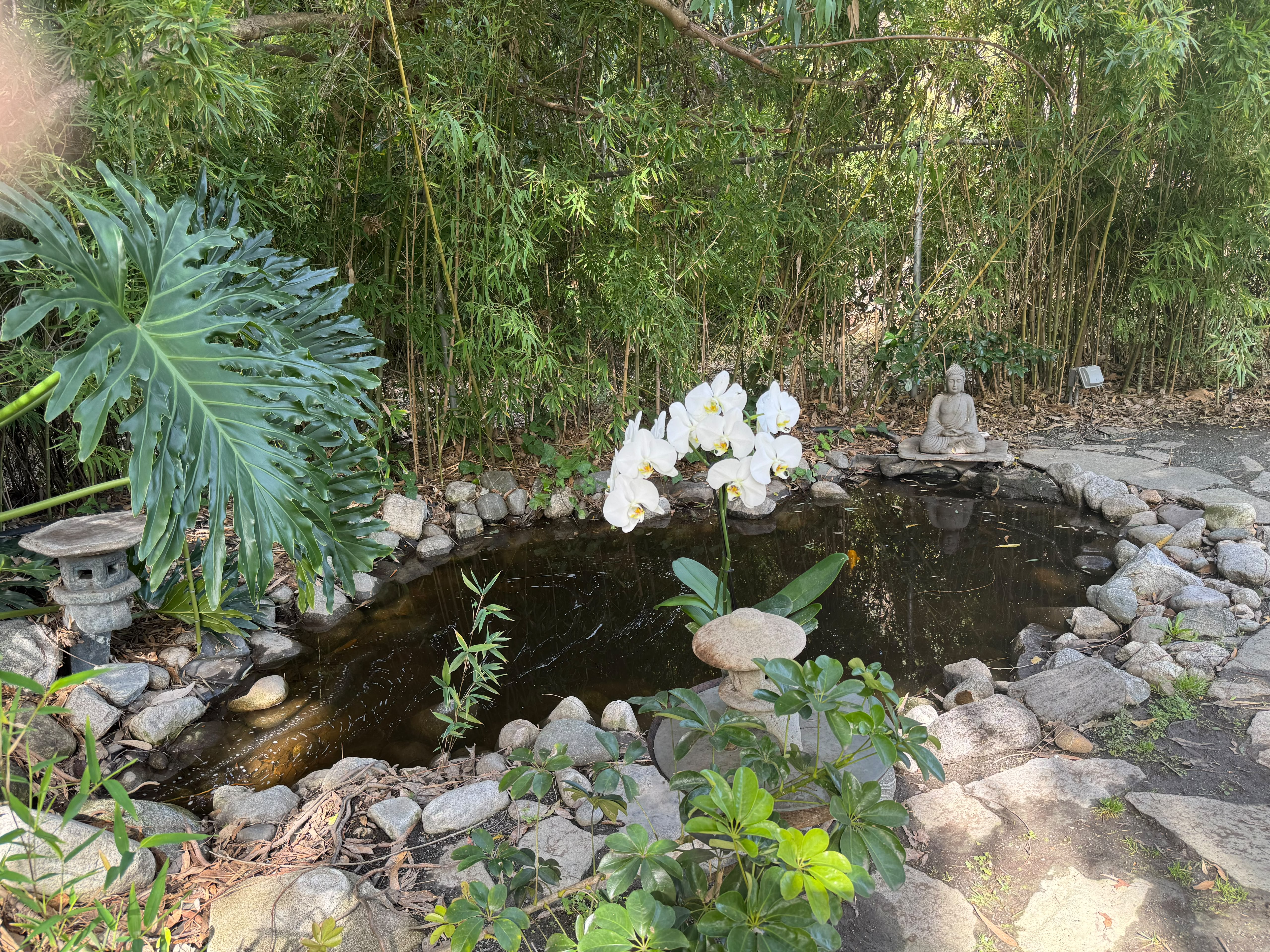 Upscale Private Pool & Outdoor Entertaining Oasis